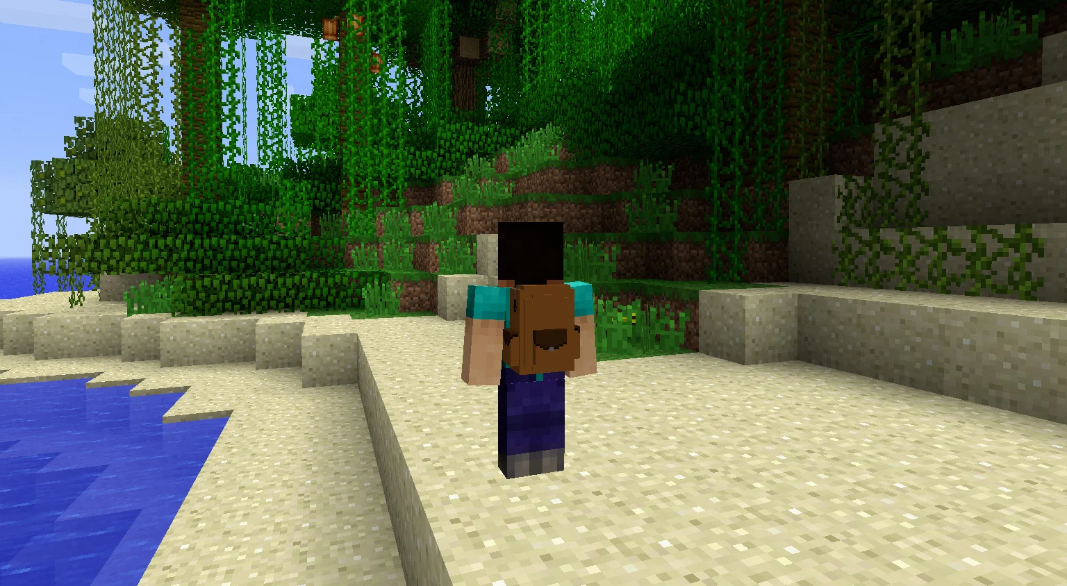 Minecraft player with standard skin and the backpack on his back.