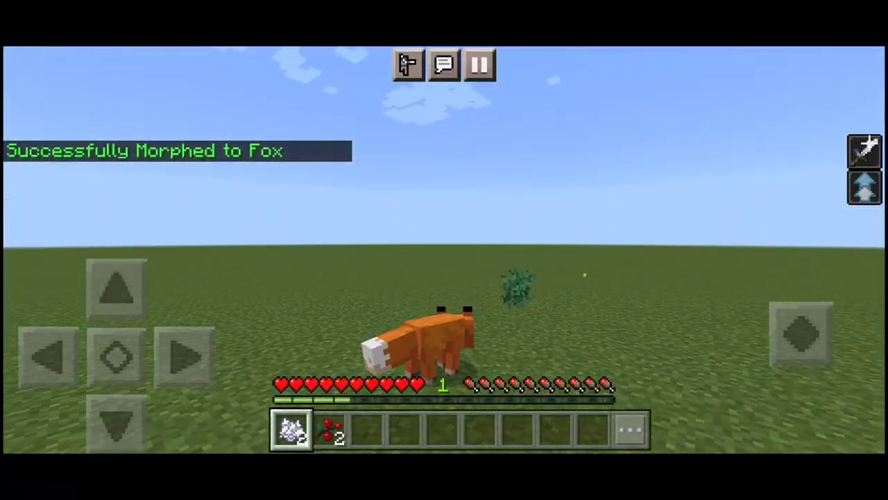 Minecraft player morphed into Fox.