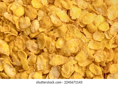 corn flakes, the essential of the breakfast and one of the most popular snacks, shoot as a website background photo